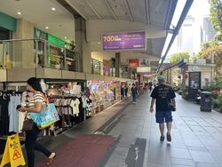 Lucky Plaza (D9), Shop House #448564141